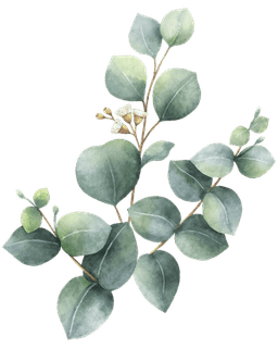 Decorative Plant